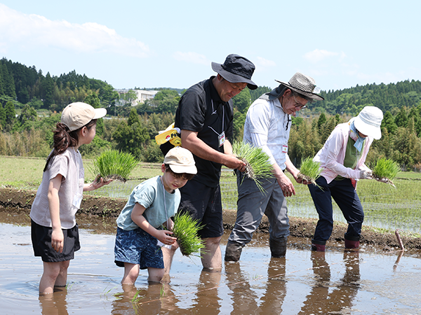 南阿蘇村 田植え体験イベント2026