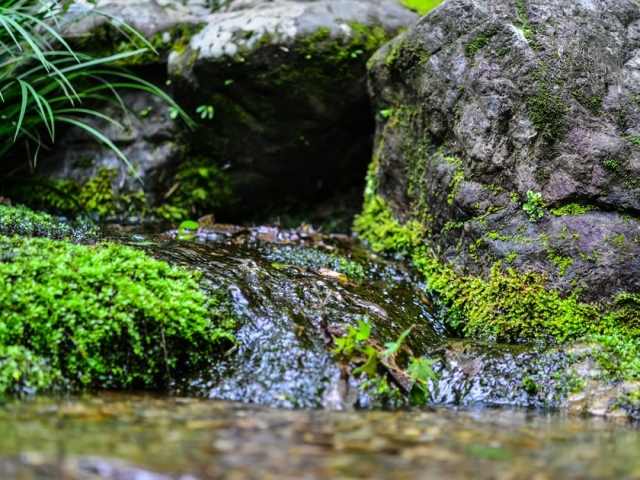 水資源とは？日本や世界の水問題と原因、取り組みについて解説