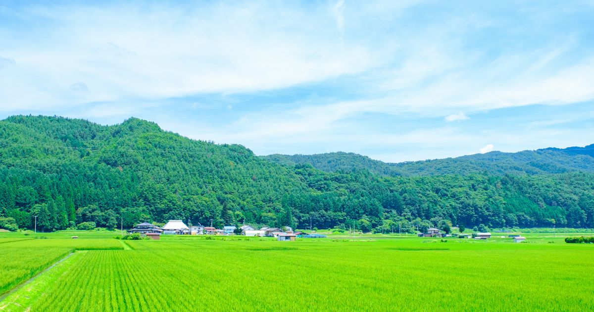 田んぼの画像