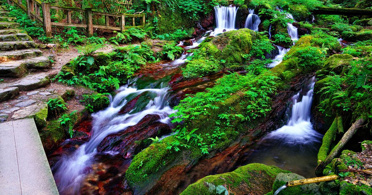名水とは？名水百選のお水も紹介｜天然水ウォーターサーバーは