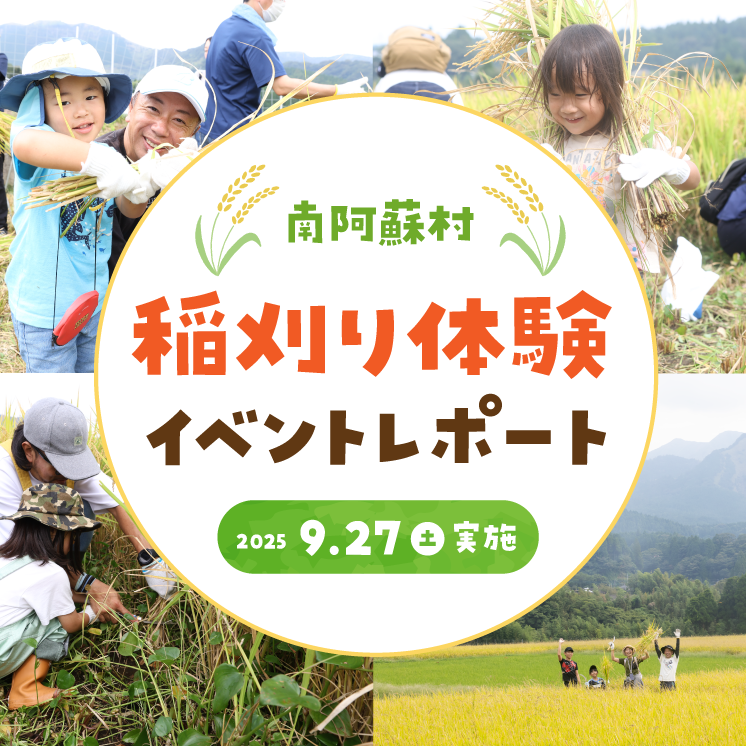 【イベントレポート】『南阿蘇村 稲刈り体験イベント2025』開催!ご当地タレント高村公平さんやちんねんさん、南阿蘇村村長も参加