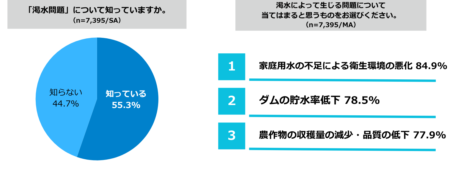 渇水問題の認知度と生じる問題 調査グラフ