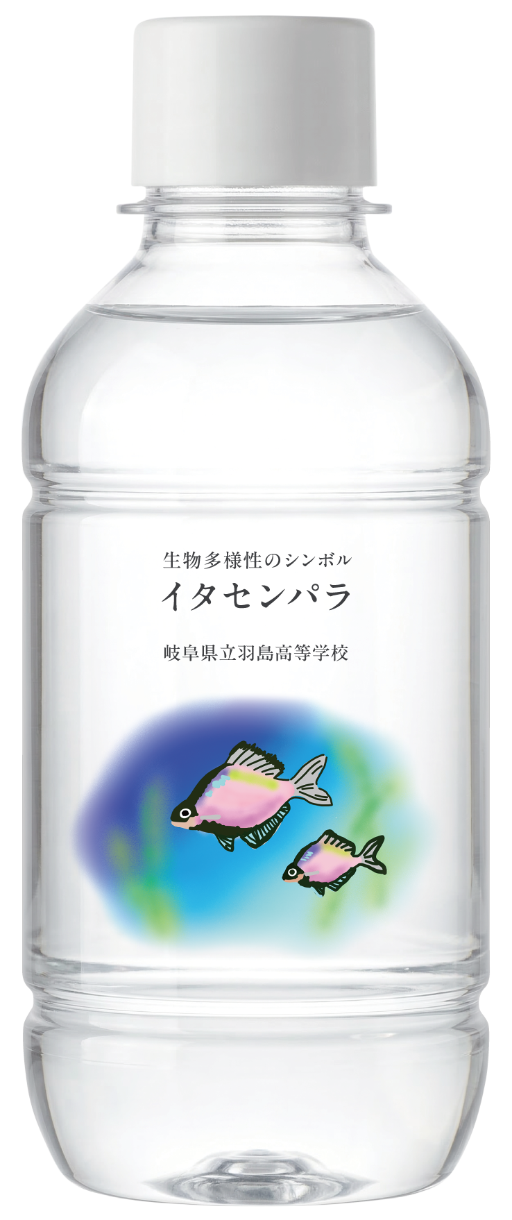 ボトルデザインB