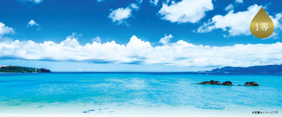 1等:海外旅行(1組 2名様)
