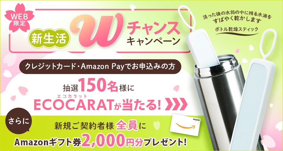 新規お申込み歳末新春Wチャンスキャンペーン