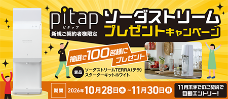 pitapリリースキャンペーン