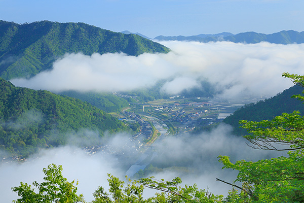 朝来のおいしい天然水を育む水源環境その大自然は特別天然記念物「コウノトリ」が生息する地