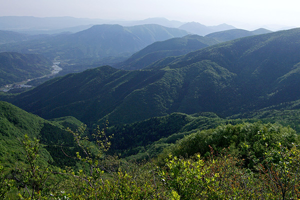 中国山地の豊かな自然のもと、地下約700mの花崗岩の下でゆっくりろ過された天然水