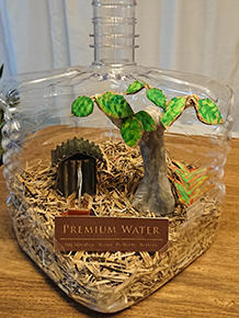 入賞 「森の癒しの水」